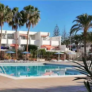 Palm Costa Del Silencio
