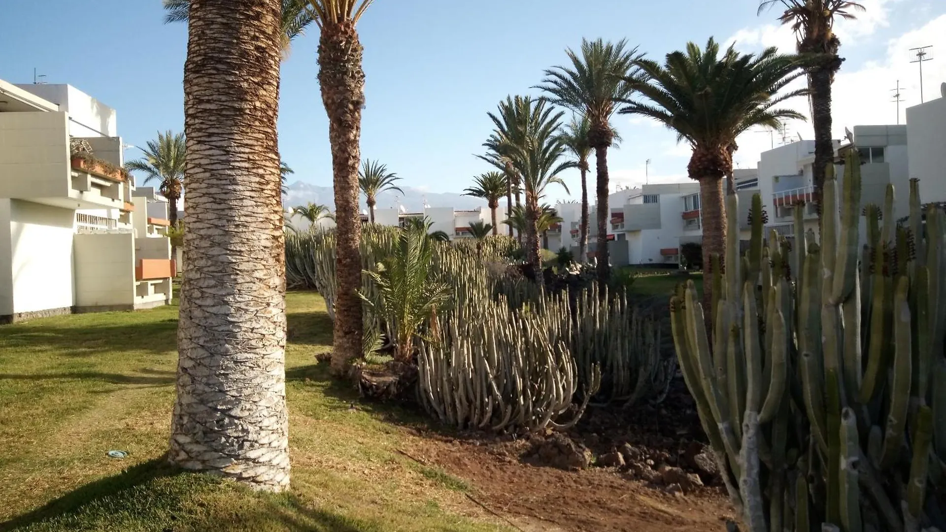 Precioso Apartamento Costa Del Silencio 0*,  Spain